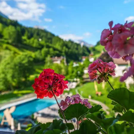 Alois 4 Sterne Superior Tux